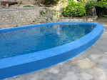The Pool out back