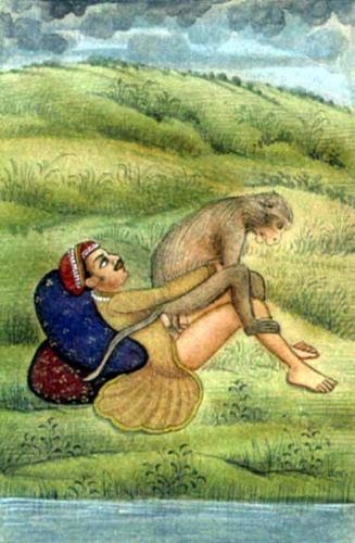 [macaca_fudida.JPG]