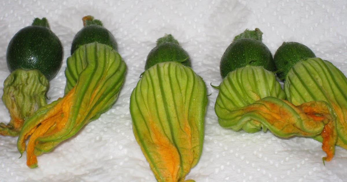 Cooking without a Net Crispy Fried Zucchini Blossoms