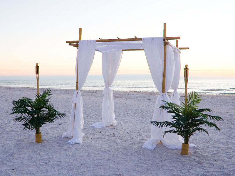 Our Bamboo and White Draped Canopy Arch
