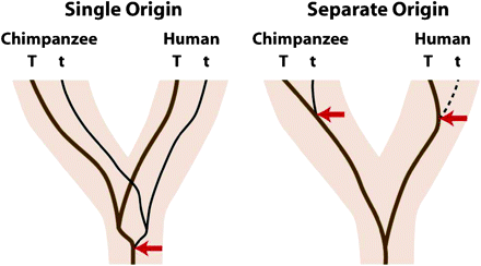 [2015fig5.gif]