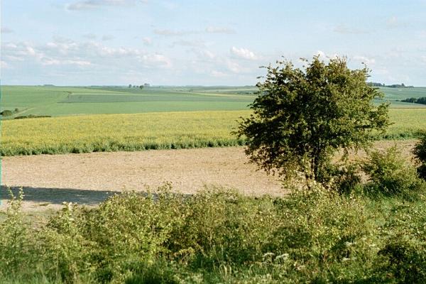 [La+Boisselle+sausage+valley+03.jpg]