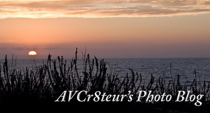 AVCR8TEUR'S PHOTO BLOG
