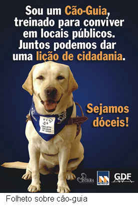 [caoguia1.jpg]