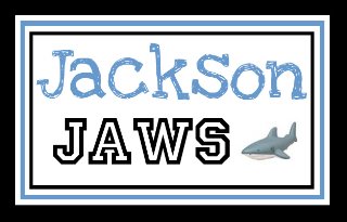 Jackson Jaws Blog