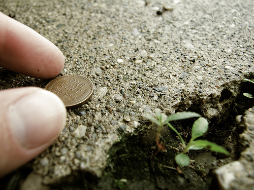 finding a penny