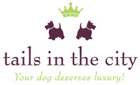 Tails in the City - Your dog deserves a stylish blog!