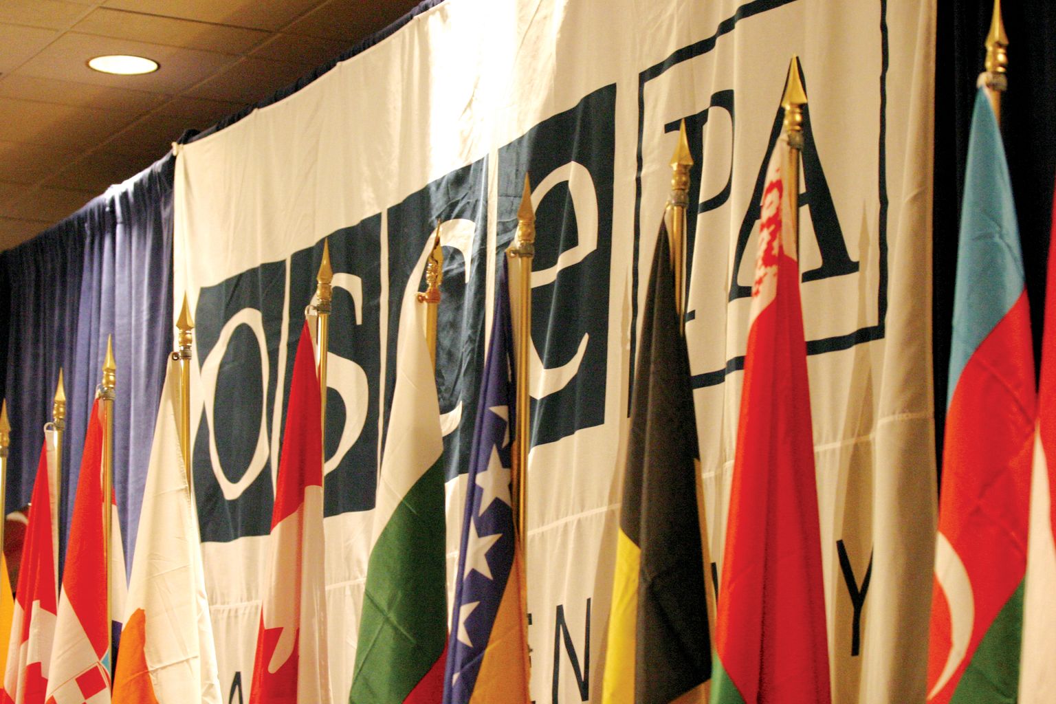 [OSCEPA_Flags[1].jpg]