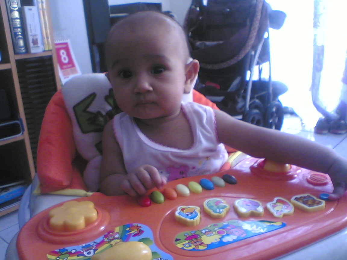 harga baby walker di giant