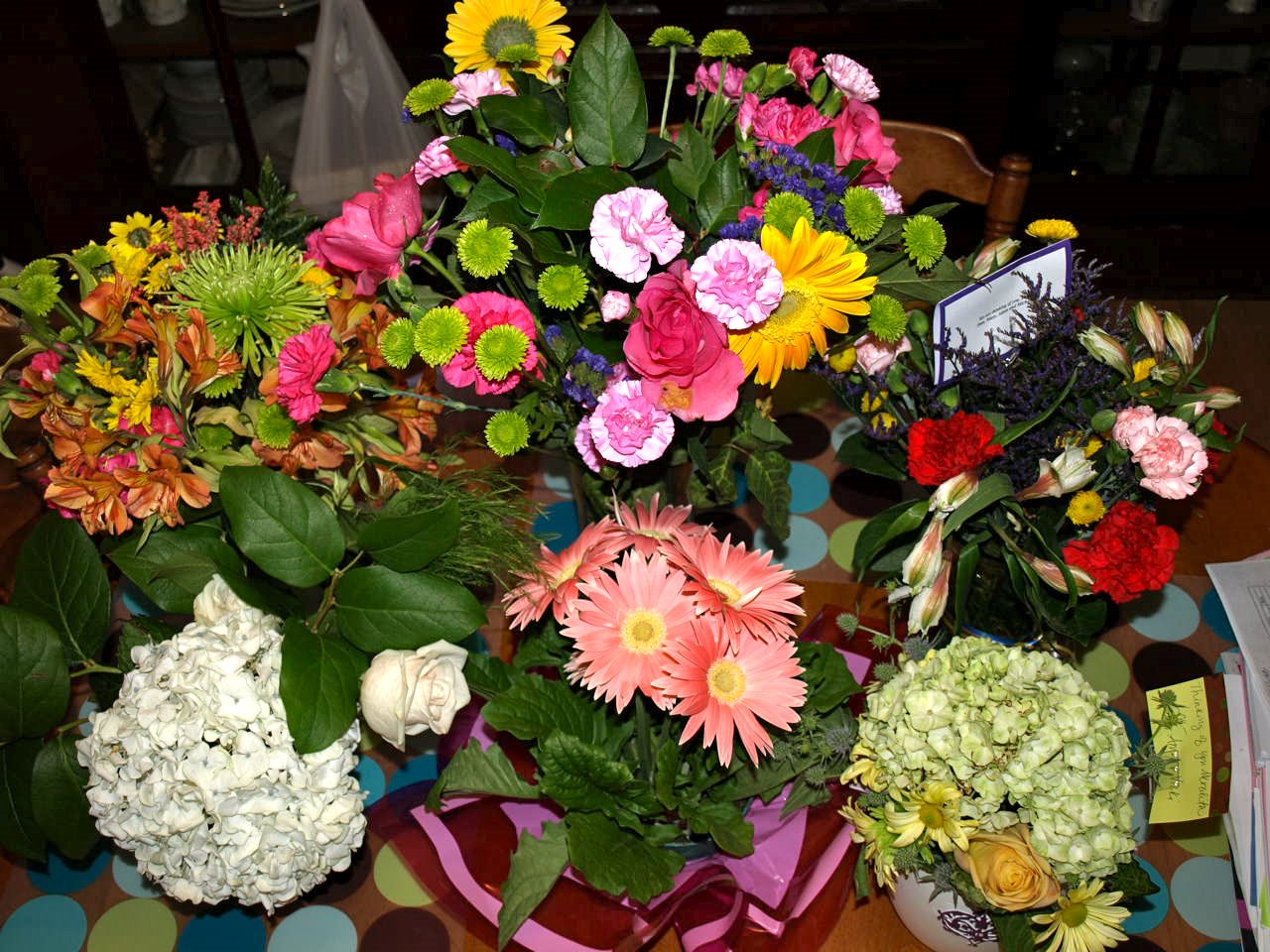 [P7224174.JPG]