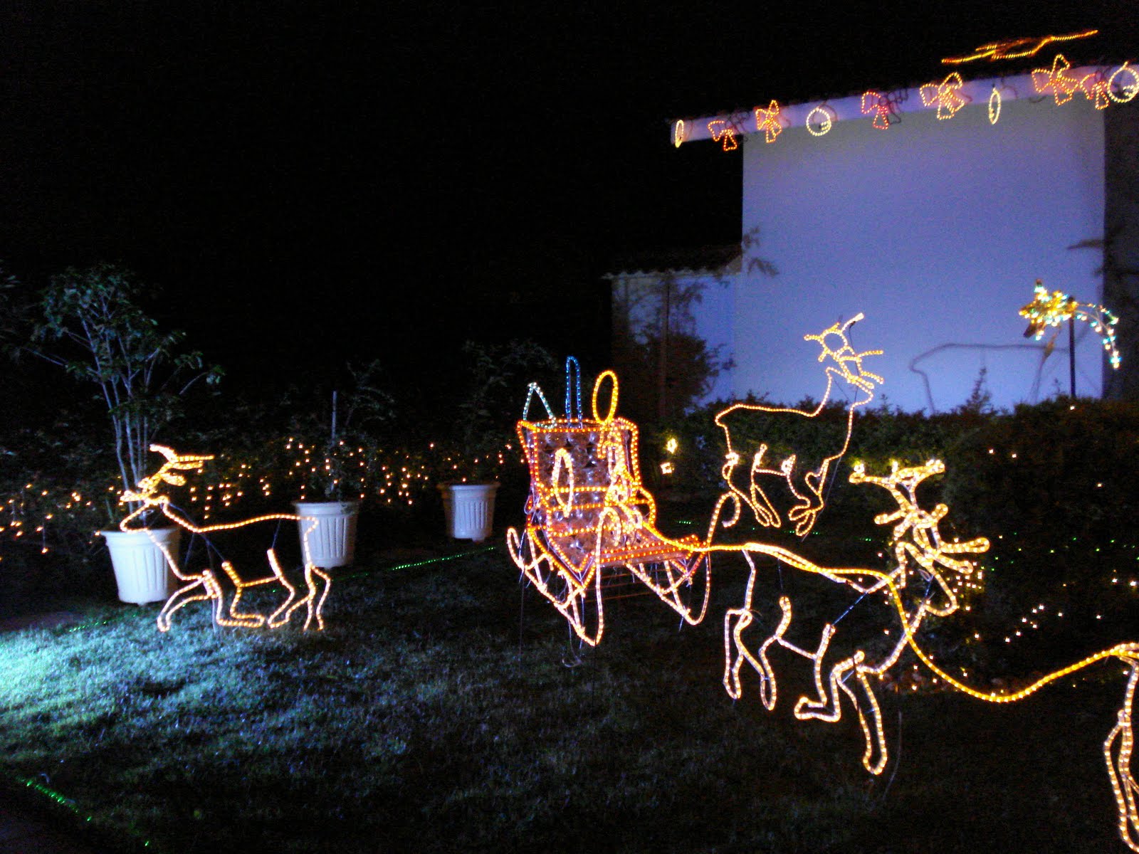 enfeites luminosos de natal para jardim:Cópia+de+Enfeites+de+natal+2008+096.jpg enfeites luminosos de natal para jardim:Cópia+de+Enfeites+de+natal+2008+096.jpg