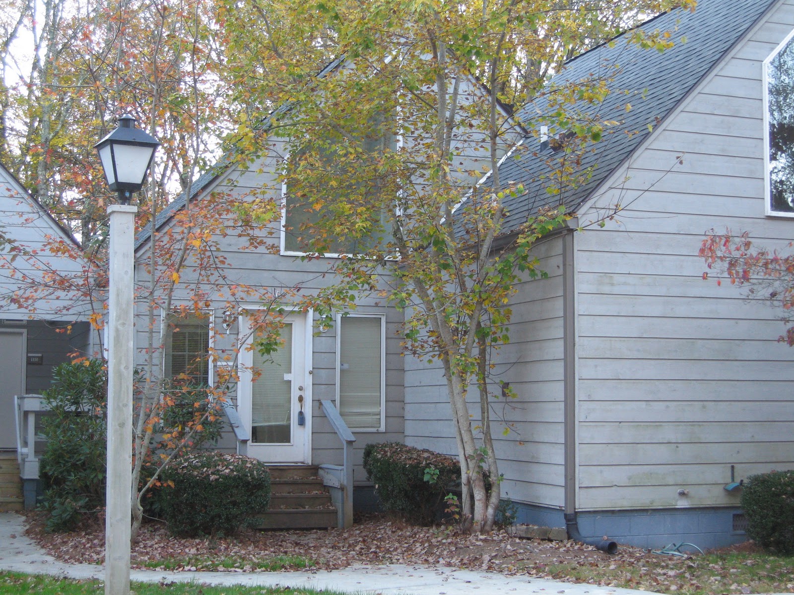 Carol Mathews Properties, Highlands Cashiers NC "Stinking Cedar Tree