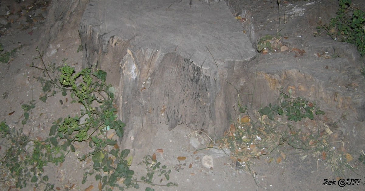 Development At My Cost???