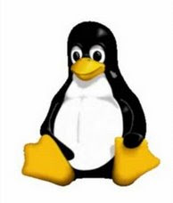 LINUX