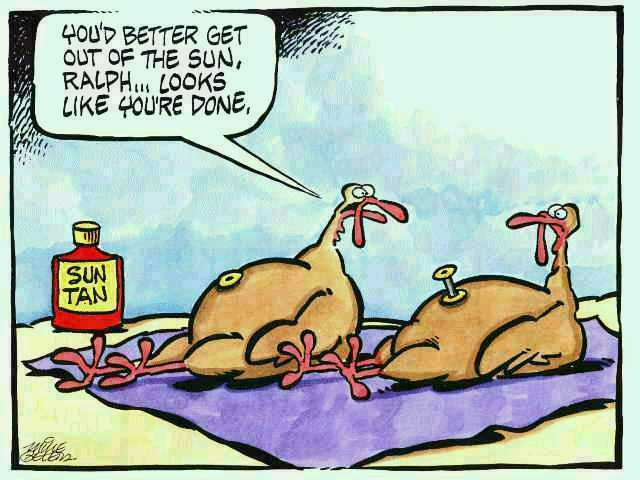 Friday Funnies Just in Time For Thanksgiving