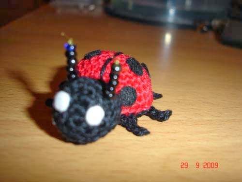 [ladybug4.jpg]