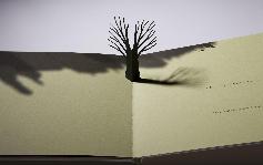 [_Little+tree-.JPG]