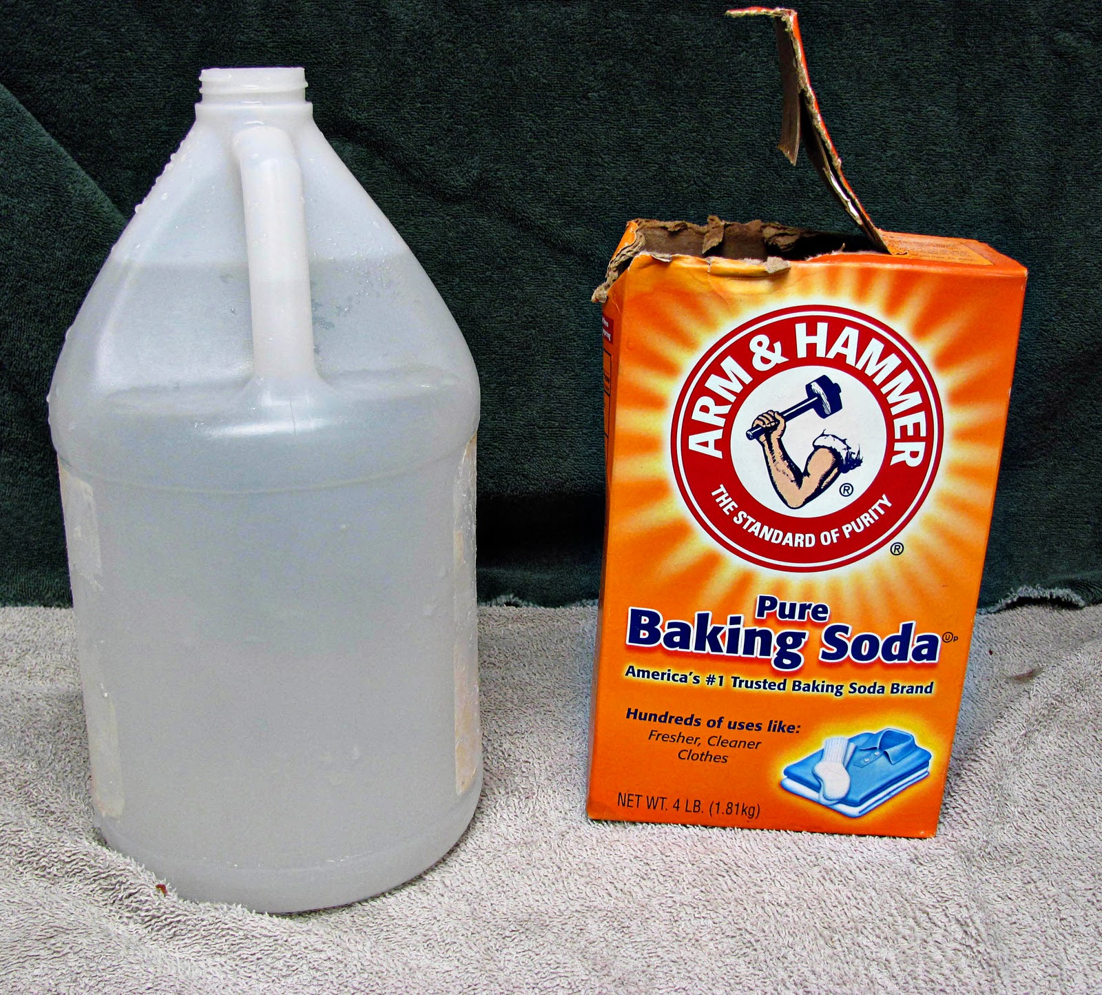 Pet Grooming The Good, The Bad, & The Furry Tuesdays Tip 5