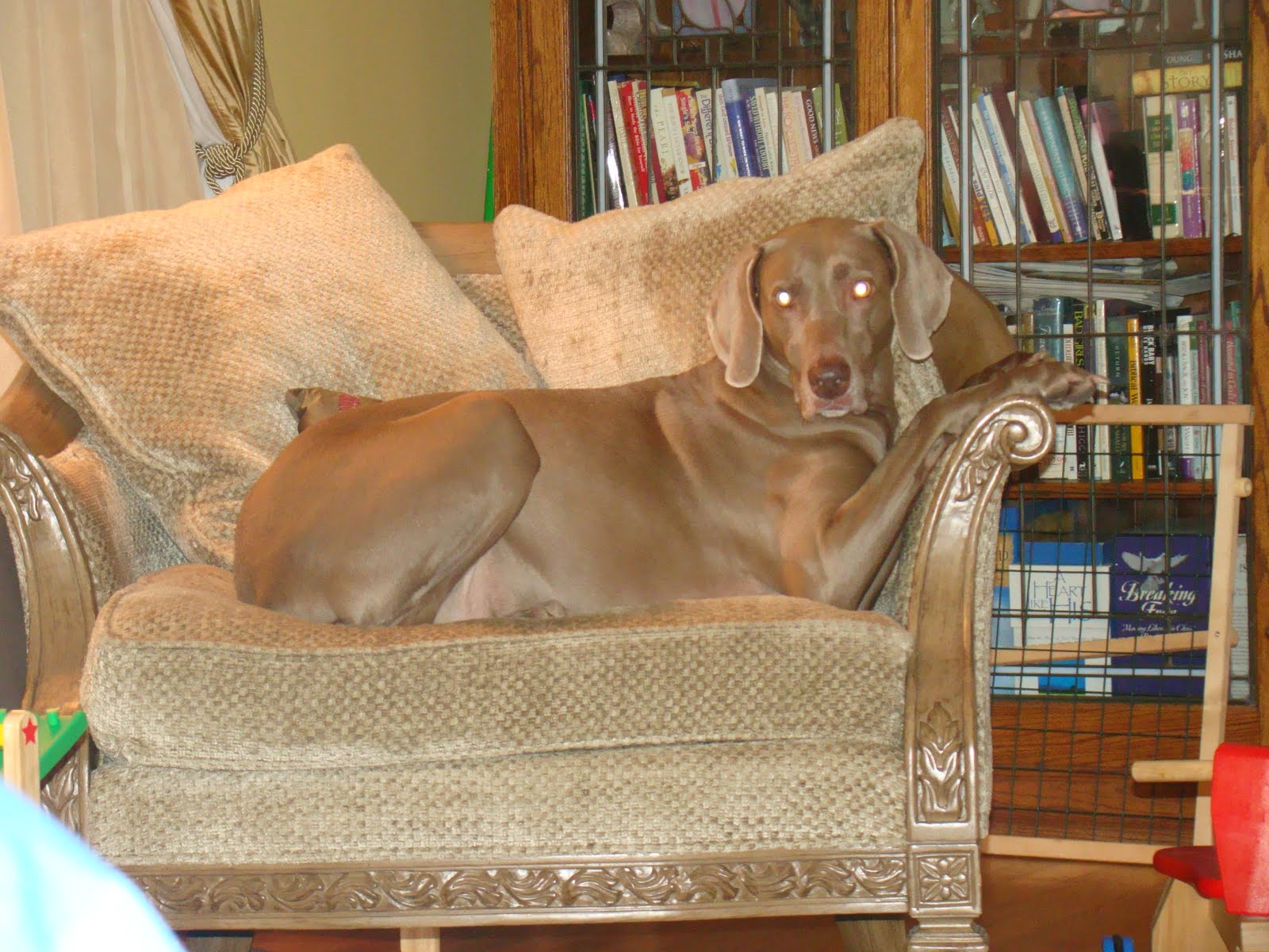 [22+Month+Fun+010.JPG]