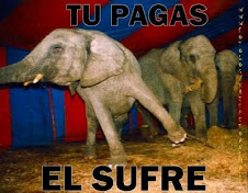 NO A LOS CIRCOS CON ANIMALES