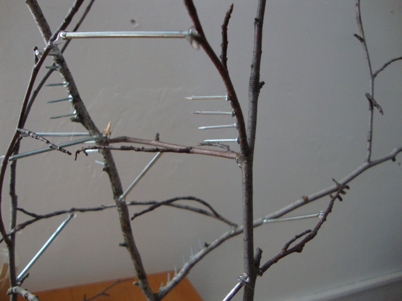 KEEP CREATING New Twig Structures