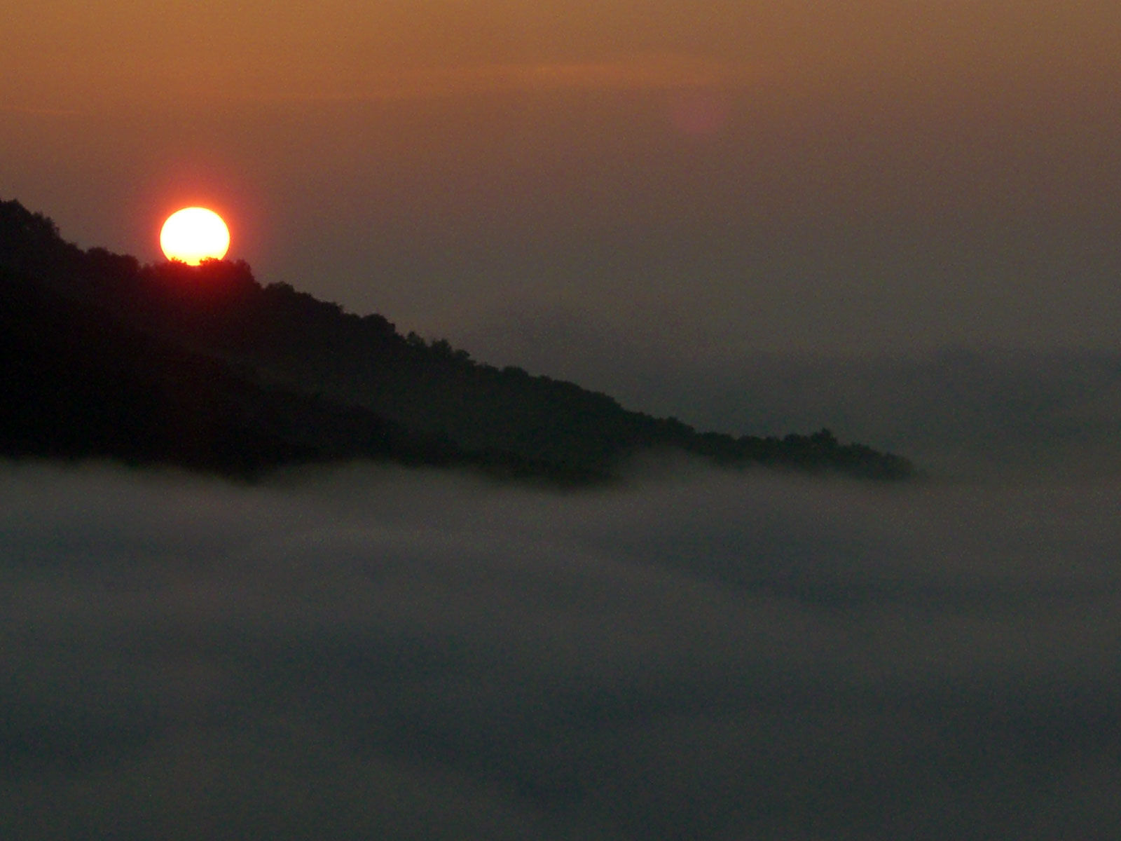 maharishi mahesh yogi 2007