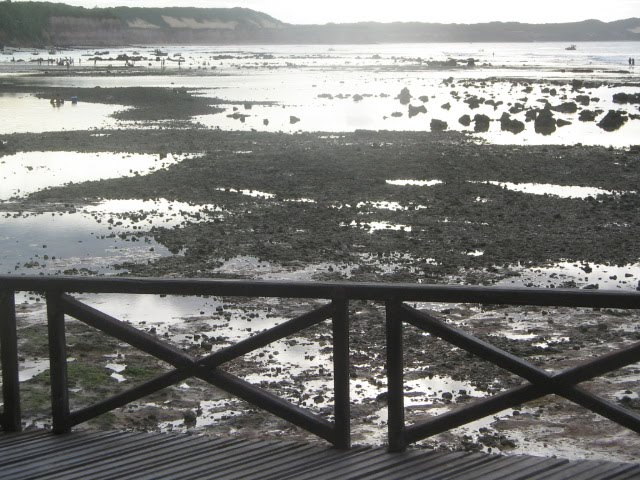 [IMG_0654.JPG]