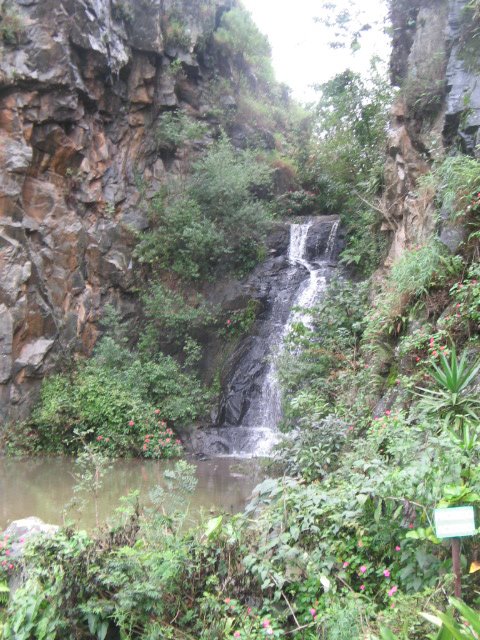 [IMG_6925.JPG]
