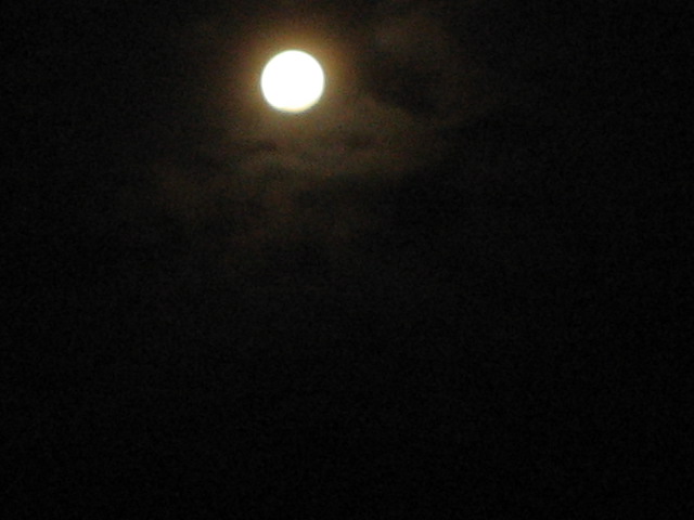 [IMG_6517.JPG]