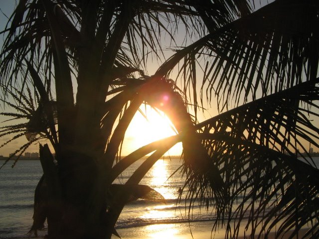 [IMG_5899.JPG]
