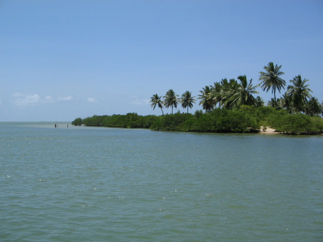 [IMG_8871.JPG]