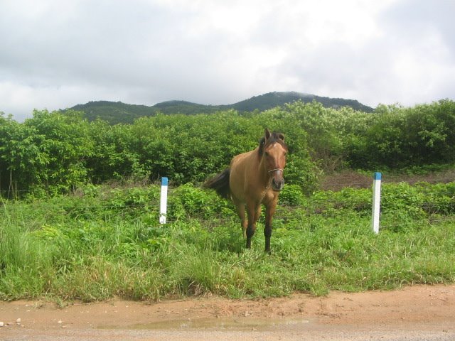 [IMG_0795_2.JPG]