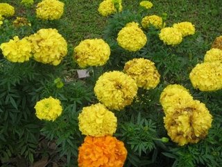 [IMG_6839.JPG]
