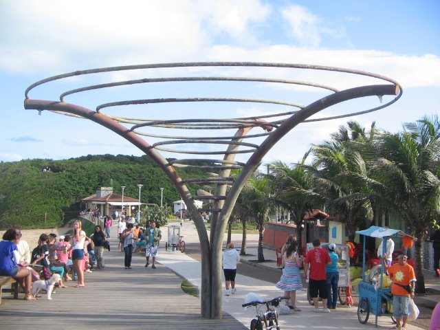 [IMG_1579.JPG]