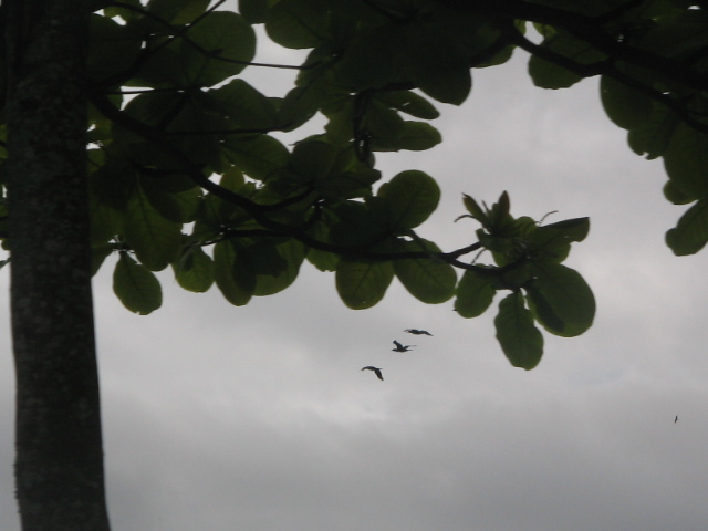 [IMG_3265.JPG]