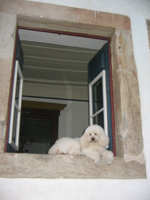 [IMG_2540.JPG]