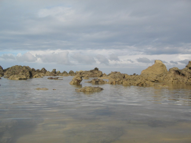 [IMG_0631.JPG]