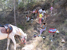 PIC-NIC EN FAMILIA POR EL CAMPO