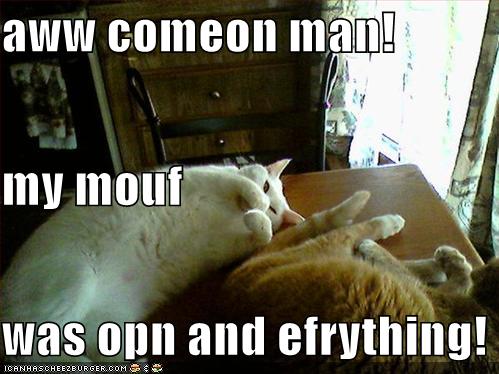 funny-pictures-cats-fart-mouth.jpg