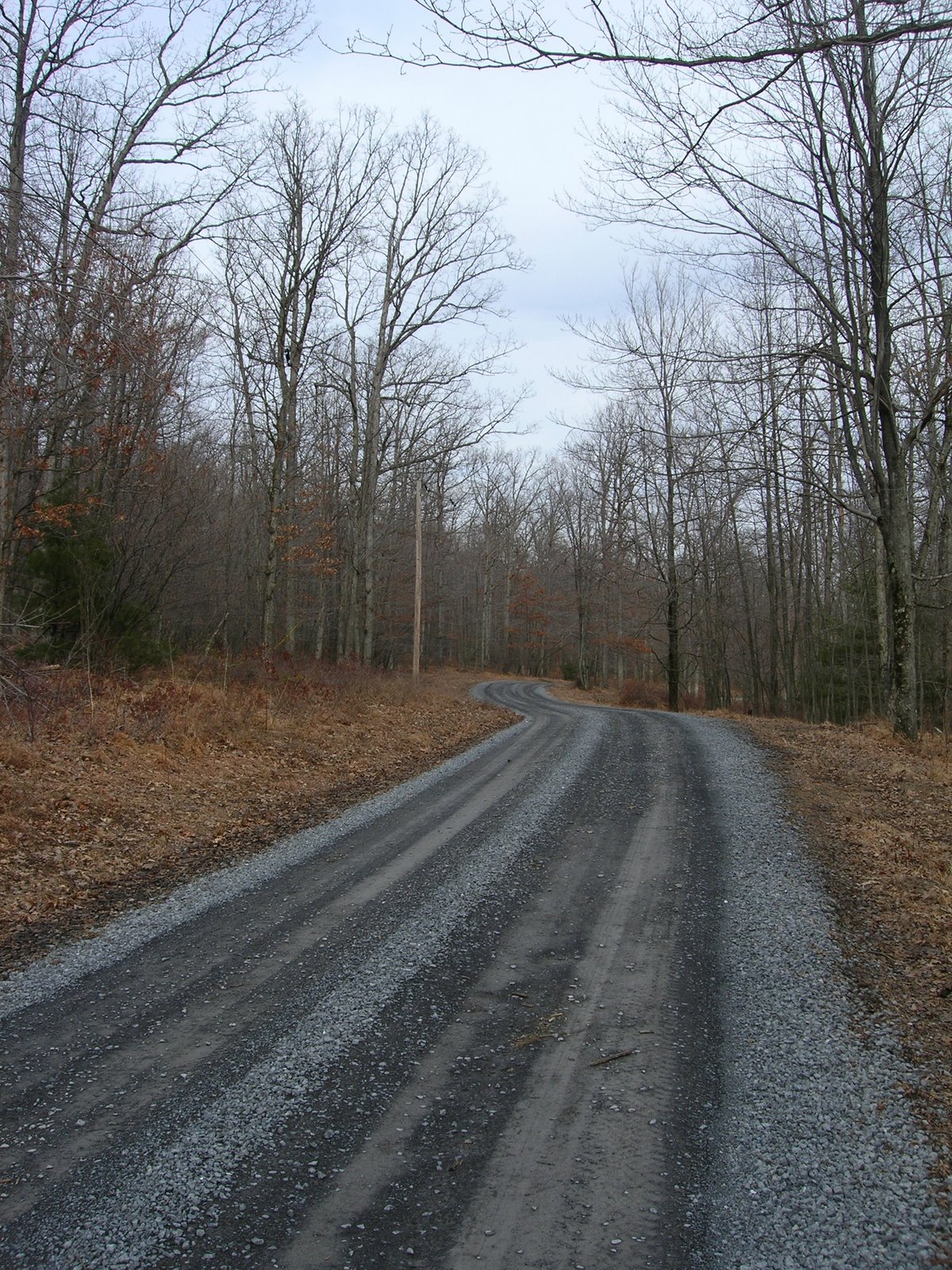 [DSCN0850.JPG]