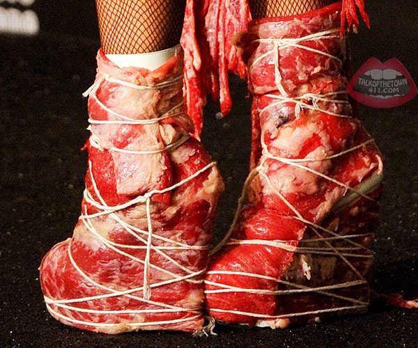 Lady Gaga's meat dress is