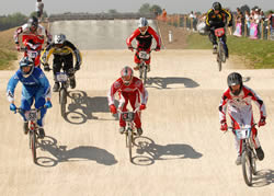 [bmx1.htm]
