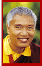 Tertön Vidyadhara Namkha Drimed Rinpoche