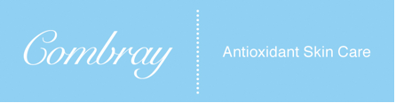 Combray Sales Blog