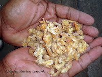 Udang Kering gred A