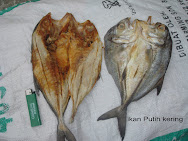 Ikan Putih Masin