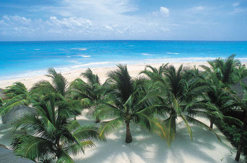 [20070911213139.jpg]