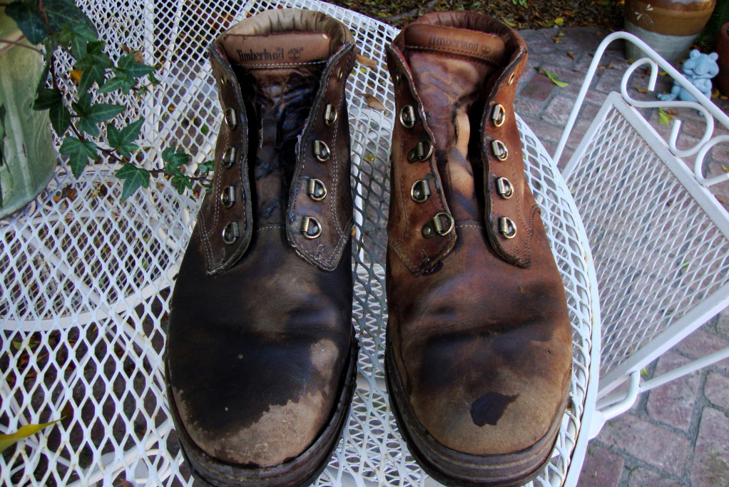 Sunny Simple Life Work Boot Flower Pots, Container Gardening
