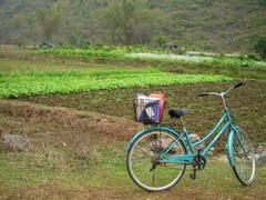 My 'lao pok' china bicycle =)