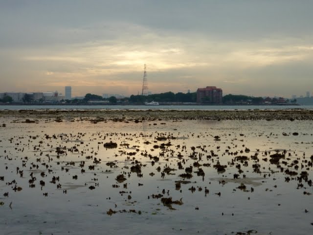 Semakau Landfill